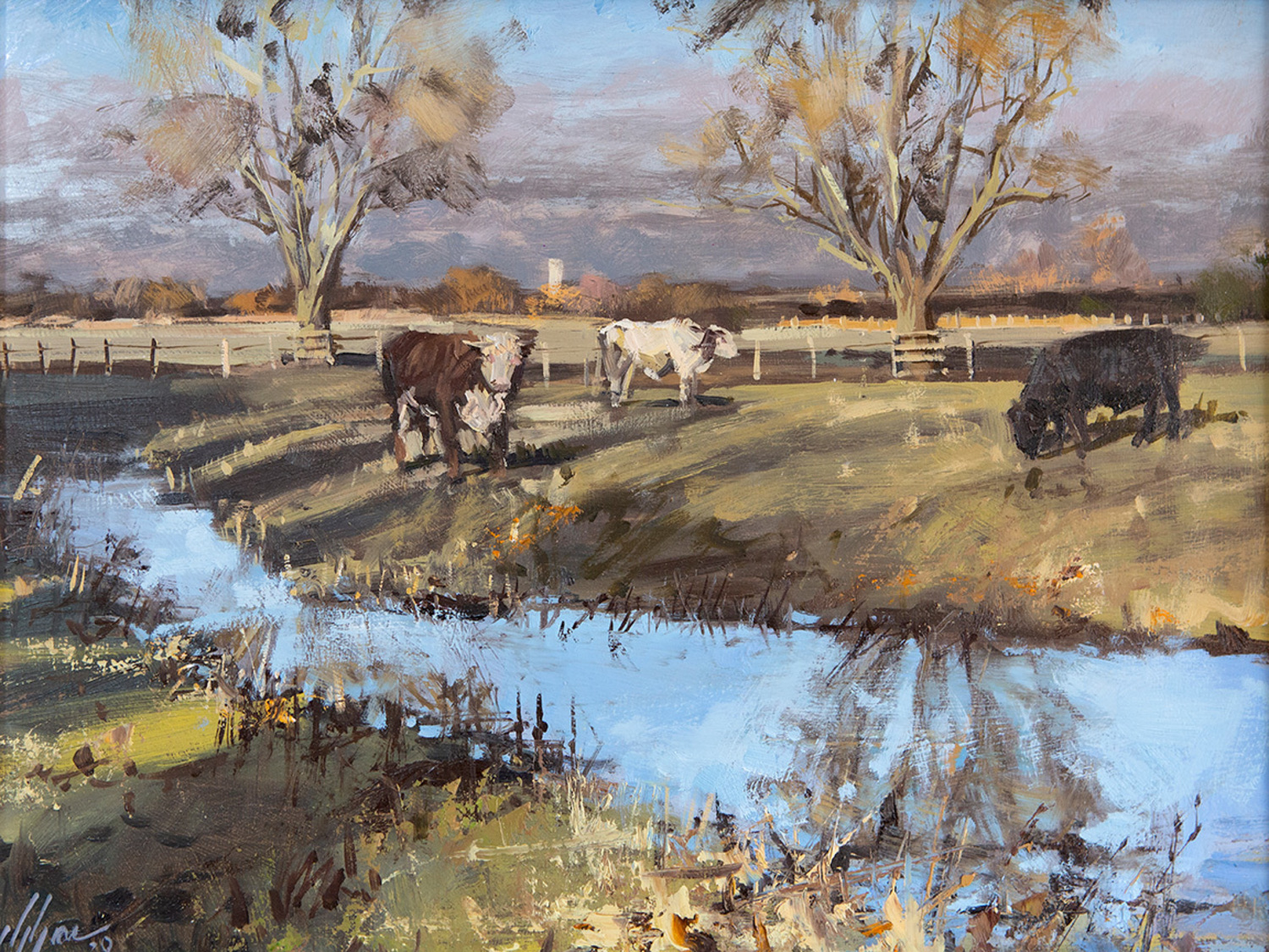 Warmington Cow Pastures